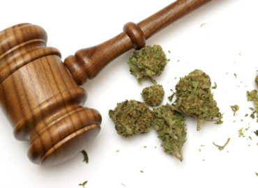 5 Common Questions Asked About New York Marijuana Legalization