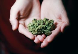 It’s Legal, Now What? 6 Facts You Should Know About Buying Weed In Massachusetts