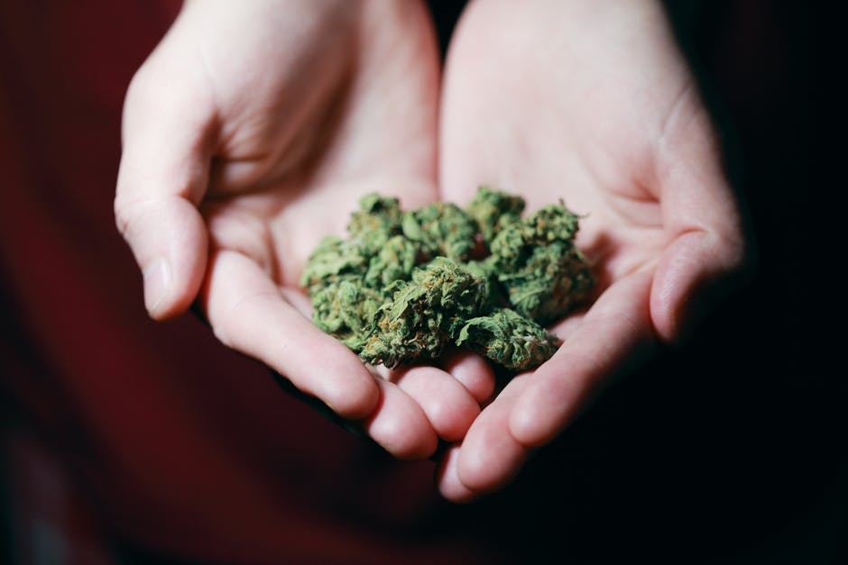 It’s Legal, Now What? 6 Facts You Should Know About Buying Weed In Massachusetts