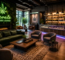 Massachusetts Cannabis Cafes Are Coming: Everything You Need to Know Before They Open